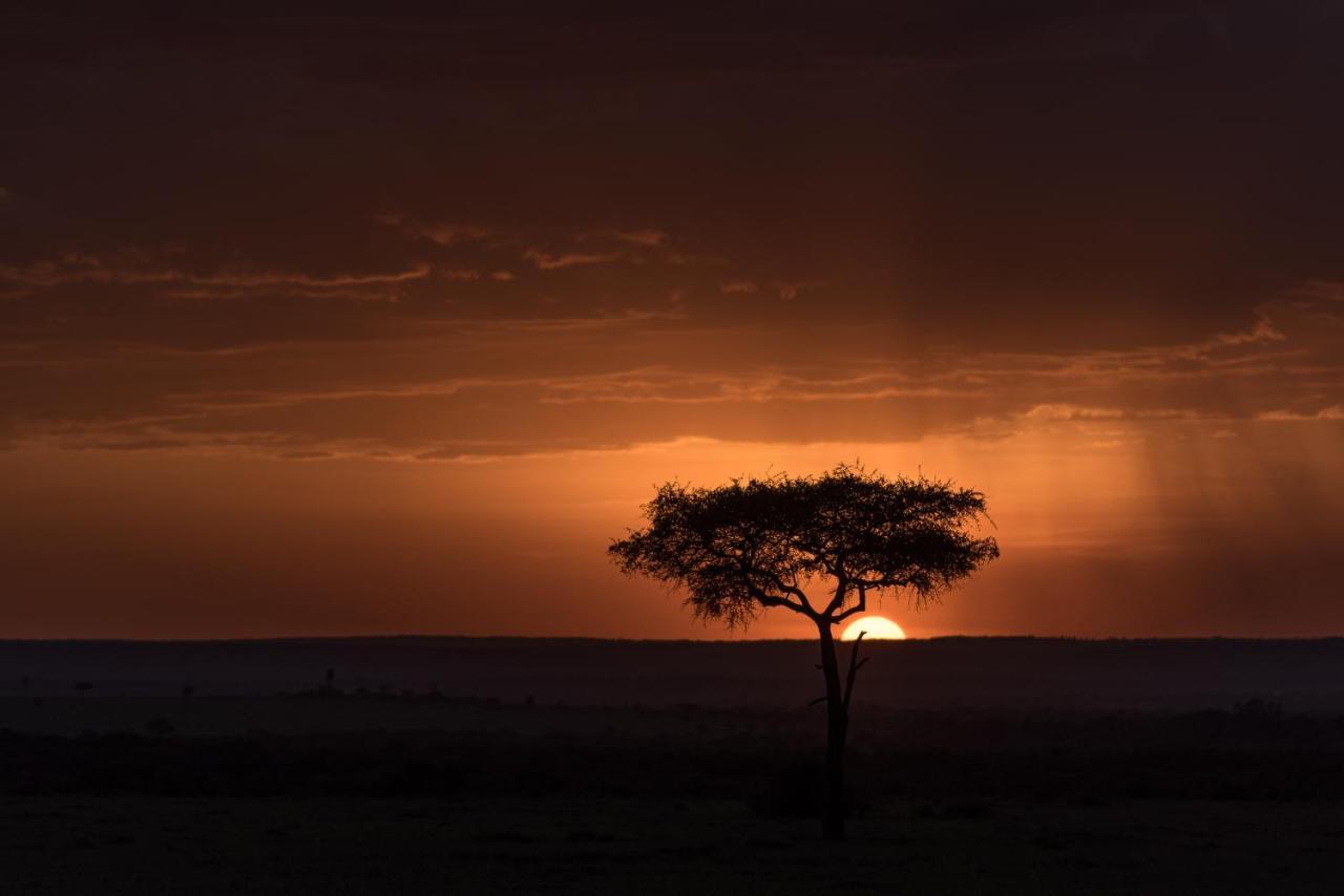Villa Africa Safari Maasai Boma Serengeti-Savanne Exterior foto