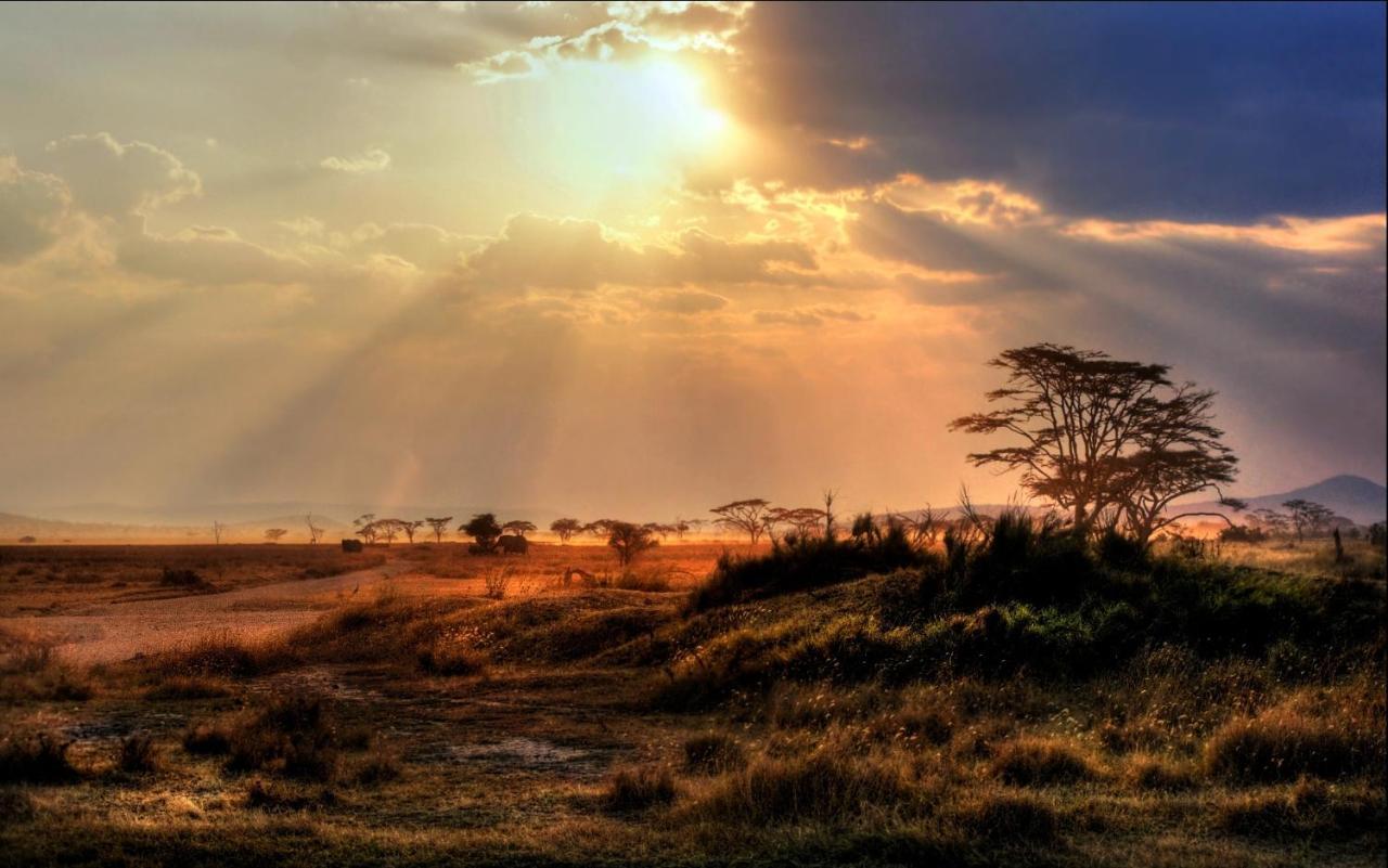 Villa Africa Safari Maasai Boma Serengeti-Savanne Exterior foto